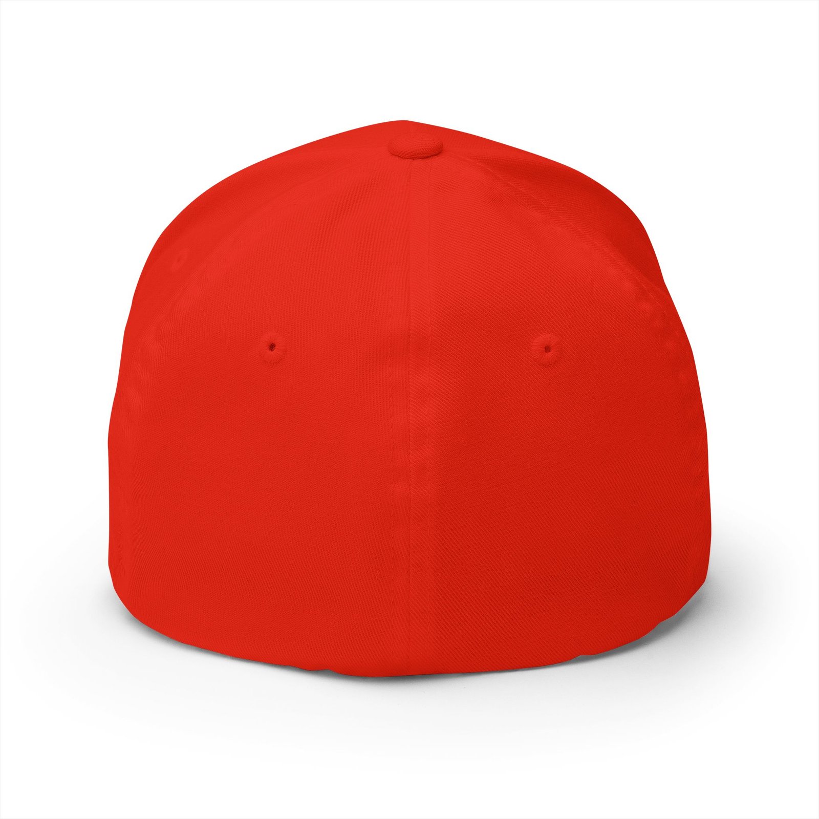 Chosen Closed-Back Structured Cap - Image 34